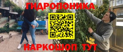ешки Волжск