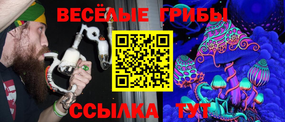 Псилоцибиновые грибы GOLDEN TEACHER  Вход с VPN  Когалым 
