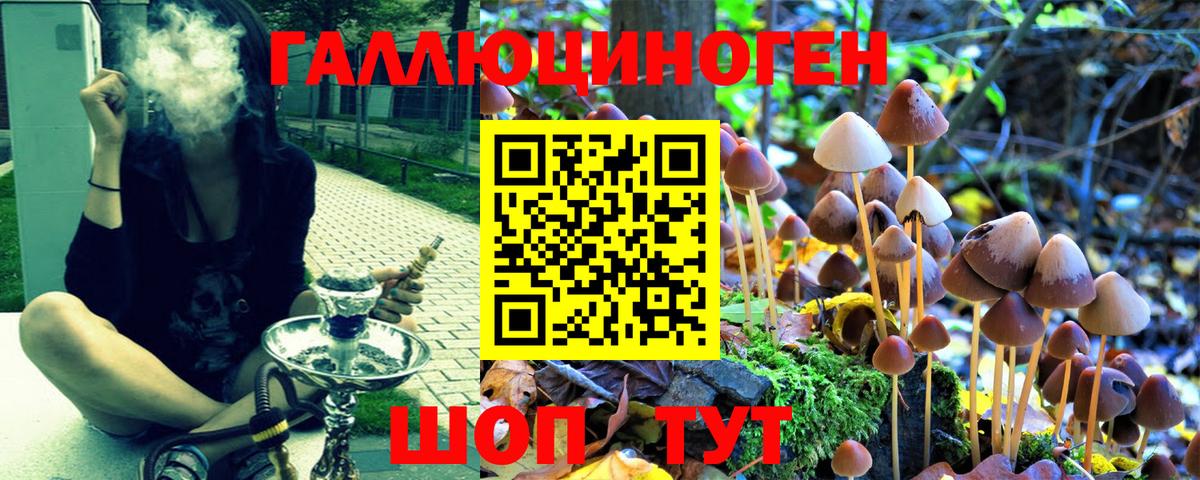 Галлюциногенные грибы GOLDEN TEACHER Когалым